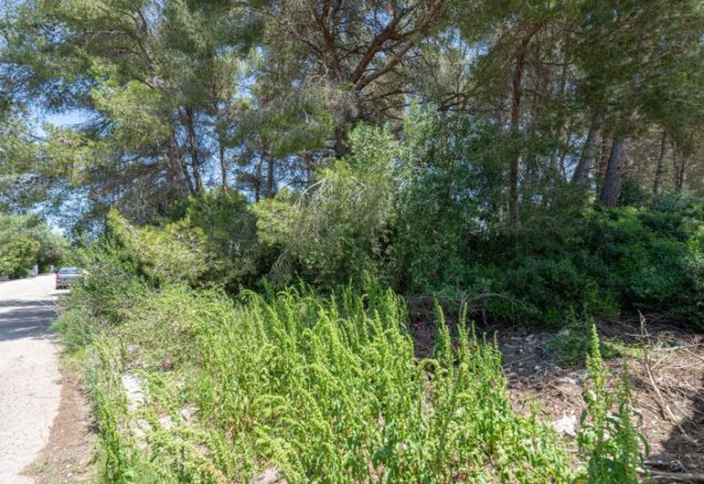 Detail image of Building plot for sale in Javea / Spain #59026