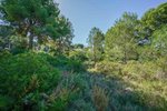 Thumbnail 7 of Building plot for sale in Javea / Spain #59062