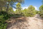 Thumbnail 3 of Building plot for sale in Javea / Spain #59059