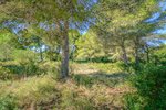 Thumbnail 2 of Building plot for sale in Javea / Spain #59062